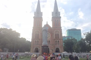  TP.HCM có hơn 31.000 tour du lịch bị hủy