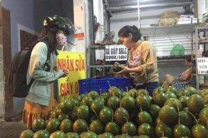 Bơ booth đạt chất lượng bị hàng xô đẩy rớt giá