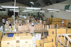 Quyết định khó khăn giữa mùa dịch của doanh nhân