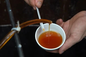 Tin vui cho nước mắm truyền thống Việt Nam