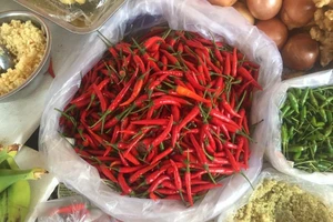 Bất ngờ giá ớt hiểm cao hơn giá rau muống