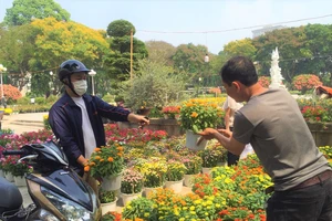 Hoa nhập khẩu từ Nhật Bản hút khách, hoa nội cũng lên ngôi