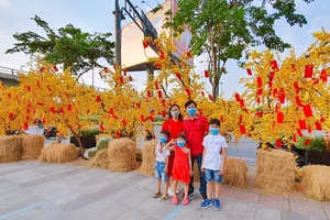 Đường hoa Amazing không gian Tết cổ truyền cho người xa quê