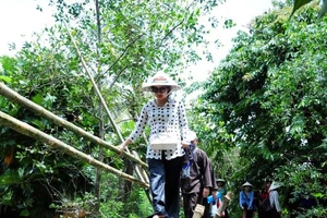 Công ty du lịch muốn được mua vaccine để bớt khổ