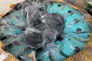 Đang làm rẫy bỗng dưng trở thành... giám đốc 