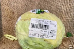 Sự thật về bắp cải giá siêu đắt 250.000 đồng/kg