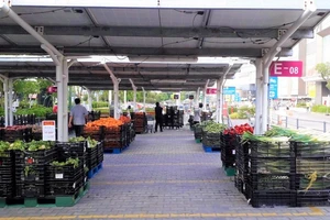 Một siêu thị đem rau Đà Lạt ra bãi xe bán với giá rẻ cực sốc