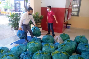 25 tấn rau do nhà hảo tâm tặng theo tàu cao tốc về TP.HCM