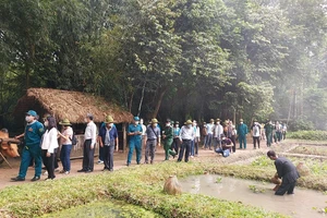 'Cứ một ngày nằm không, hãng bay lại mất một chiếc Camry'