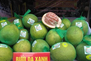Cam kết tiêu thụ hàng ngàn tấn bưởi, cam, gà... cho Bắc Giang