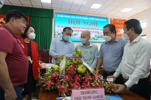 Long An: Hơn 30.000 tấn thanh long đang chờ người mua