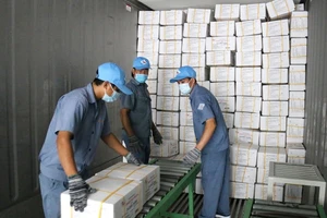 1 container cá diêu hồng được xuất sang Hàn Quốc ngày đầu năm