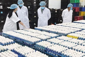 Công ty Ba Huân thông tin việc bán 25% cổ phần, bổ nhiệm Tổng giám đốc 