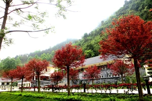 'Sốc' với phòng khách sạn, khu nghỉ dưỡng 4 sao giá 550.000 đồng