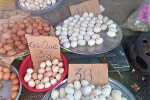 Đề nghị tăng giá trứng gà, vịt trong diện bình ổn