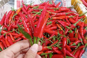 Malaysia đã bỏ lệnh cấm nhập khẩu ớt Việt, doanh nghiệp vẫn 'lơ mơ'