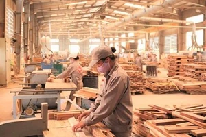 Lý do Bộ Thương mại Mỹ từ chối thư phản biện của một số công ty gỗ Việt