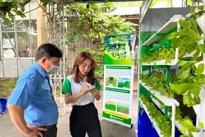 Dừa bon sai, cá cảnh...hút khách tại phiên chợ khuyến mãi Tân Bình