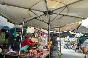 Giá heo hơi Việt Nam đang 'khác thường' so với các nước