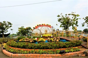 Chợ hoa xuân Bình Điền 2023 miễn phí tiền thuê mặt bằng 