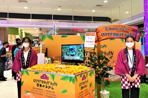 Quýt Unshu nổi tiếng Nhật Bản được quảng bá tại Việt Nam 