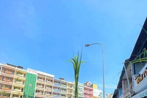 Mía vàng hút khách ngày vía Ngọc Hoàng 