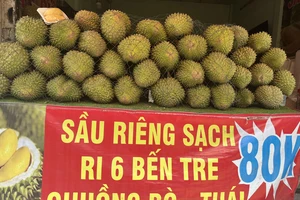 Sầu riêng Việt Nam đọ sức với sầu riêng Thái Lan ở Trung Quốc