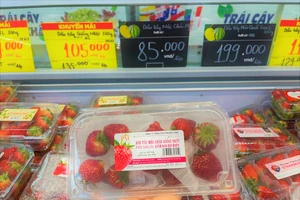 Dâu tây Mộc Châu được bán ở siêu thị TP.HCM