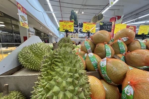 Từ tháng 9-2022 sầu riêng Việt Nam xuất khẩu chính ngạch sang Trung Quốc. Ảnh minh họa: TÚ UYÊN