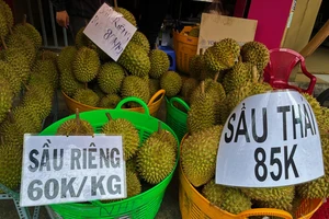 Giá sầu riêng Thái Lan và Việt Nam tại một điểm bán. ẢNH: TÚ UYÊN