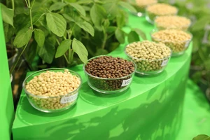 Chuỗi cà phê, nhà hàng đưa thực phẩm từ thực vật vào thực đơn