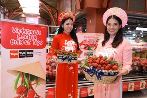 Trái vải thiều Việt vào siêu thị Thái Lan, giá hơn 170.000 đồng/kg 