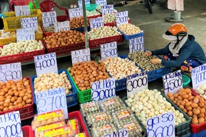 Việt Nam đặt mục tiêu xuất khẩu trứng, thịt gà... sang nhiều nước 