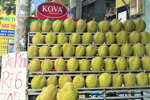 Sầu riêng tại một điểm bán quận Tân Phú TP.HCM. ẢNH: TÚ UYÊN