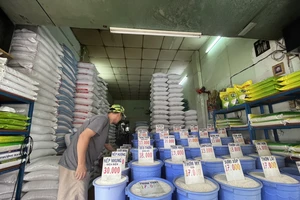 Các điểm bán gạo đều trưng bày nguồn hàng dồi dào. 