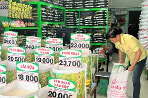 Các cửa hàng bán lẻ vắng khách mua gạo. ẢNH: TÚ UYÊN