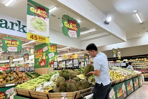 Chín tháng đầu năm 2023 xuất khẩu sầu riêng đạt hơn 1,5 tỉ USD, tăng 400% so với cả năm 2022. ẢNH: TÚ UYÊN