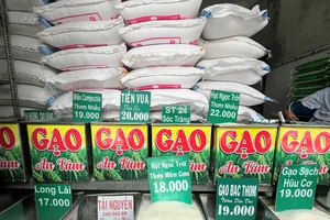 Gạo mang về hơn 3,9 tỉ USD trong mười tháng đầu năm 2023. ẢNH: TÚ UYÊN