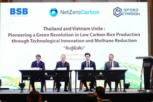 Việt Nam-Thái Lan hợp tác tiên phong sản xuất lúa, gạo 'xanh'