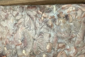 TP.HCM tạm giữ gần 25 tấn vú heo, dồi trường... bốn không