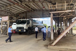 Năm 2023 TP.HCM xử phạt hơn 1,1 tỉ đồng vi phạm trong kinh doanh xăng dầu 