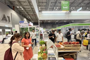 Khách tham quan triển lãm HortEx Vietnam 2024. ẢNH: TÚ UYÊN