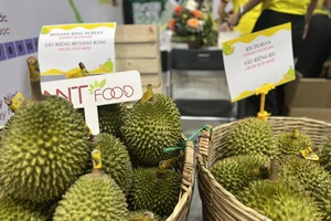 Sầu riêng quảng bá tại triển lãm HortEX Vietnam. ẢNH: TÚ UYÊN