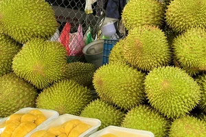 Lý do sầu riêng Việt lên ngôi số 1 tại Trung Quốc trong 2 tháng đầu năm