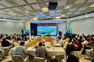 Gia Lai có tiềm năng phát triển chăn nuôi bò sữa