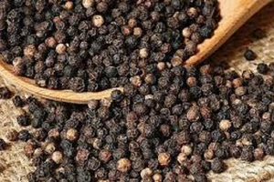 Hạt tiêu Việt Nam chiếm thị phần thứ 2 tại Pakistan 