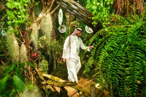 Khách quốc tế trong rừng sâm thu nhỏ tại lễ hội