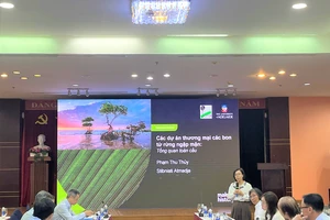 Tiềm năng tín chỉ carbon rừng ngập mặn