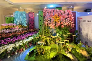 Lan hồ điệp qua tác phẩm Việt Nam Tôi. Ảnh: TÚ UYÊN