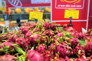 Thanh long Việt Nam bày bán tại siêu thị ở TP.HCM. Ảnh: TÚ UYÊN
